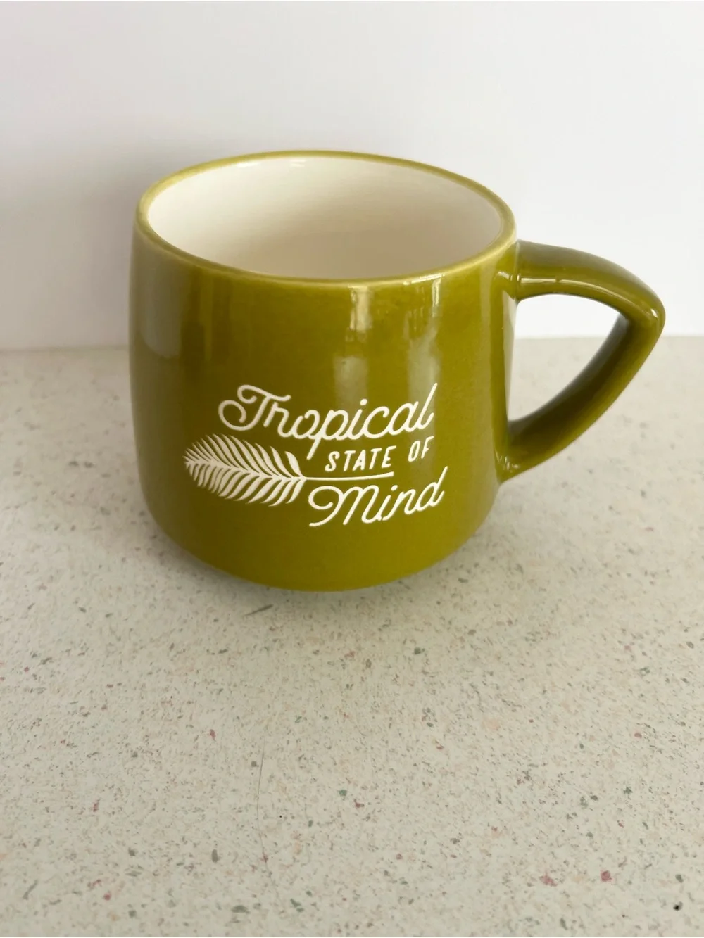 Place & Time “ Tropical State Of Mind” Palm Leaf Green 16oz Ceramic Coffee Mug